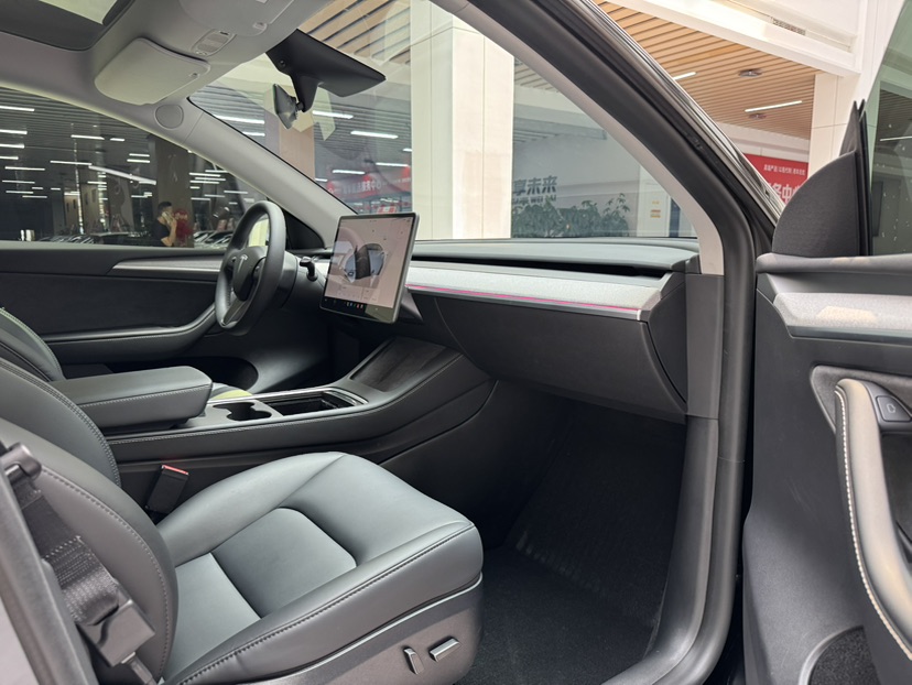 Tesla Model Y 2023 car image #19