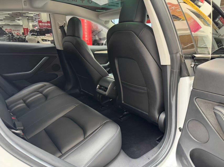 Tesla Model 3 2022 car image #20