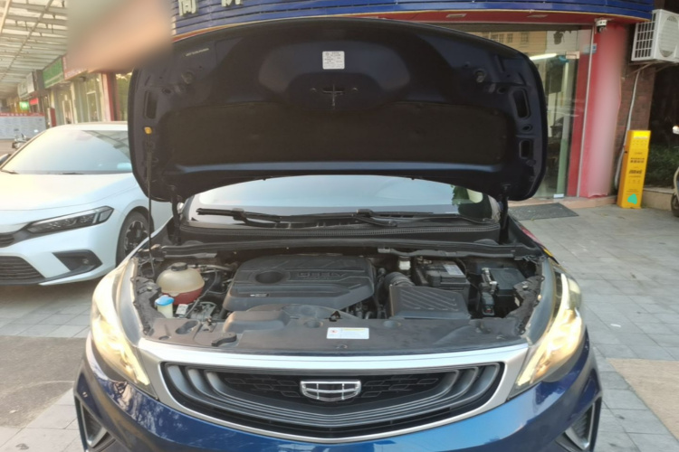 GEELY Emgrand GS 2020 imagen de coche #20