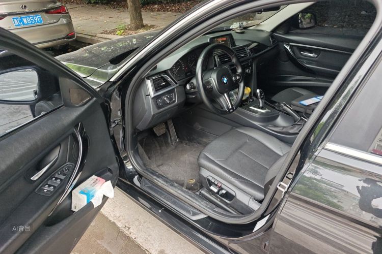 BMW 3 Series 2017 #18 BMW 3 Series 2017 car image #18