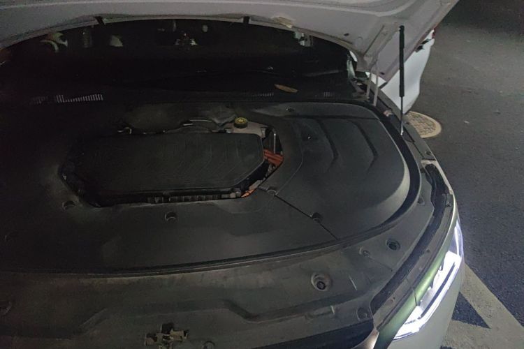 BYD Han 2021 immagine di auto #28