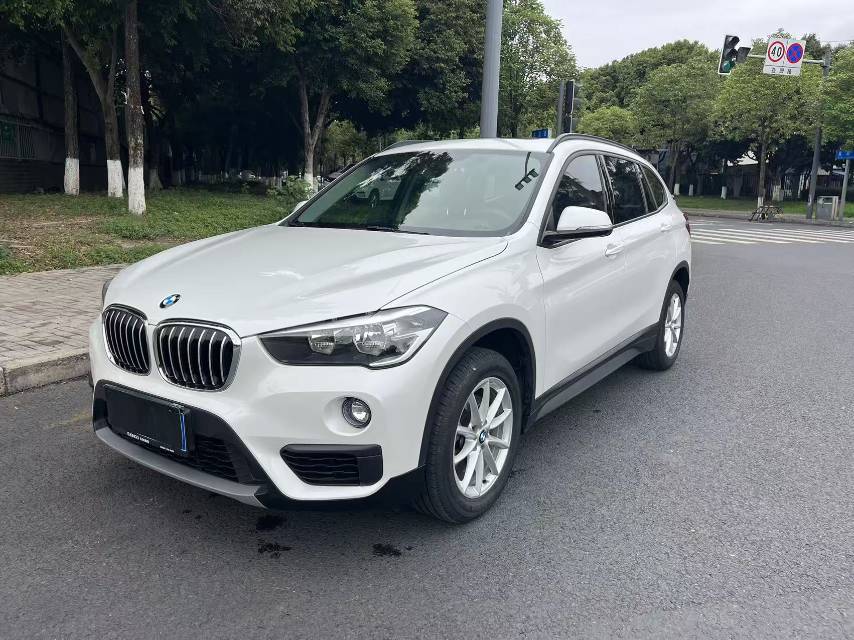 BMW X1 2019 car image 