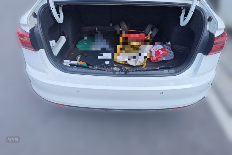 Volkswagen Bora 2021 car image #21