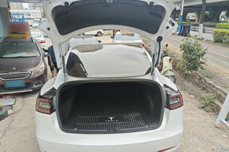 Tesla Model 3 2019 #19 Tesla Model 3 2019 car image #19