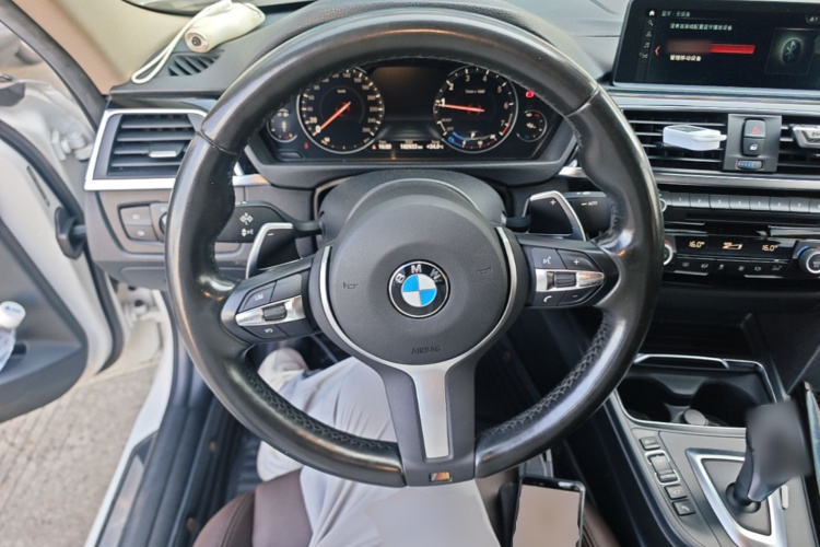 BMW 3 Series 2019 car image #11