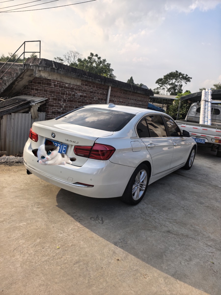 BMW 3 Series 2016 immagine di auto #7