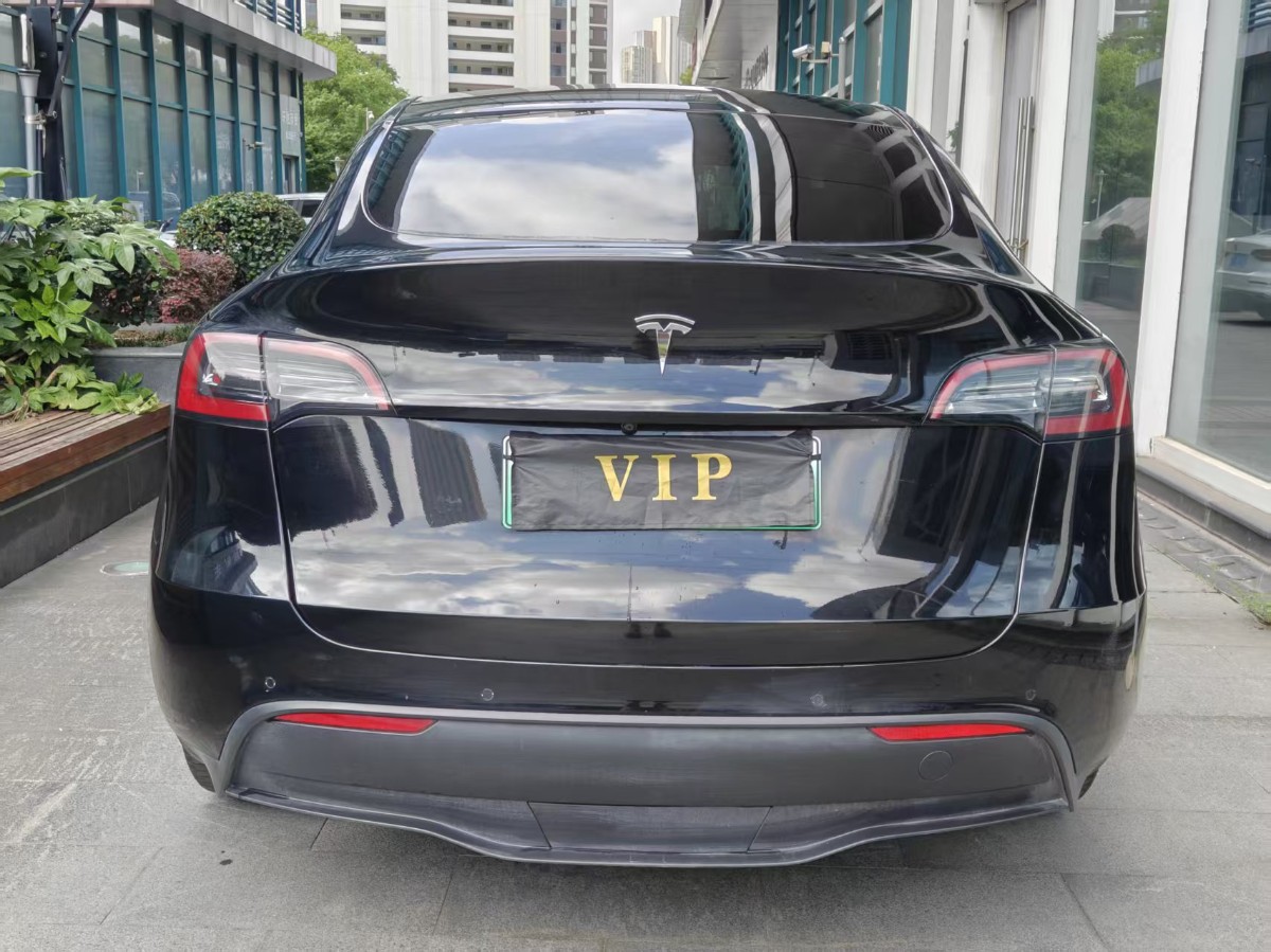 Tesla Model Y 2021 car image #8