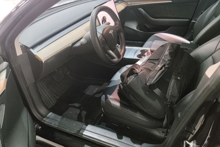 Tesla Model 3 2023 car image #16
