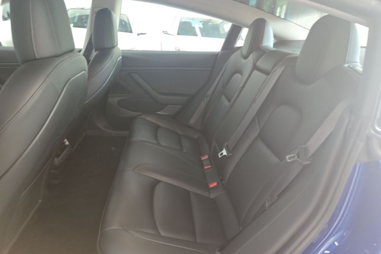 Tesla Model 3 2020 #14 Tesla Model 3 2020 car image #14