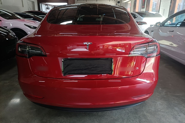 Tesla Model 3 2021 #6 Tesla Model 3 2021 car image #6