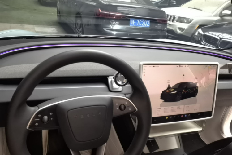 Tesla Model 3 2024 car image #11