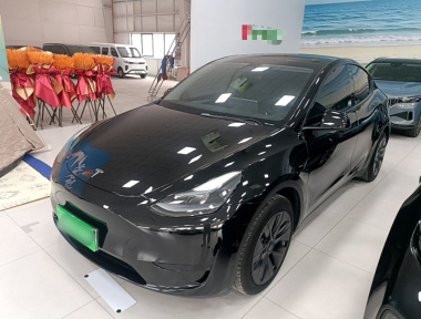Tesla Model Y 2024 Tesla Model Y 2024 car image