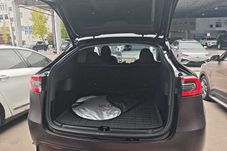 Tesla Model Y 2022 car image #19