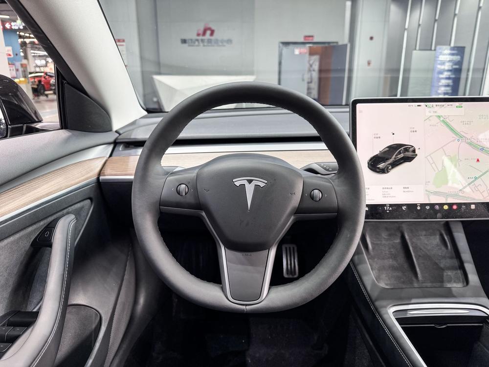 Tesla Model 3 2021 car image #9