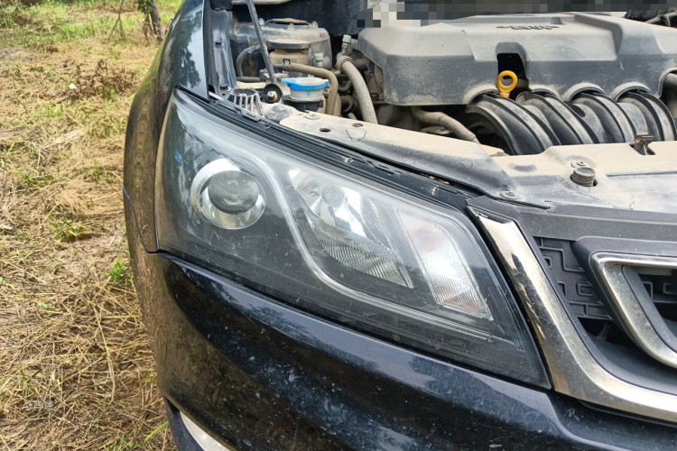 GEELY Emgrand 2016 car image #8