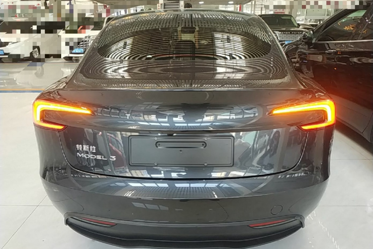 Tesla Model 3 2024 #6 Tesla Model 3 2024 car image #6
