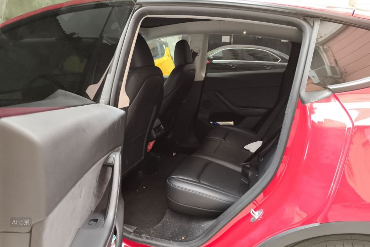 Tesla Model Y 2023 car image #19