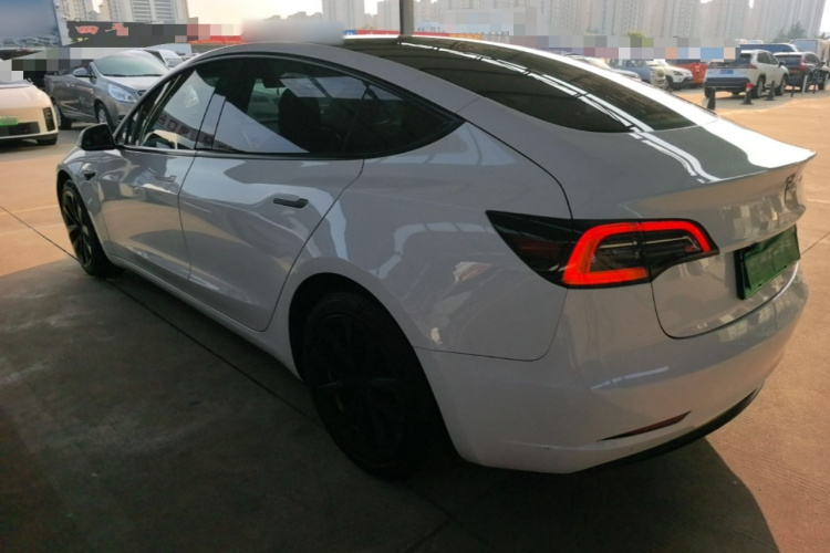 Tesla Model 3 2021 #5 Tesla Model 3 2021 car image #5