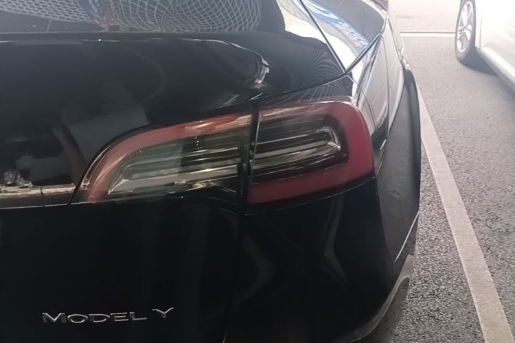 Tesla Model Y 2023 #8 Tesla Model Y 2023 car image #8
