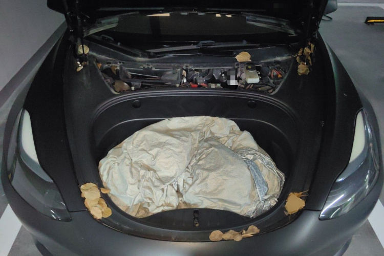 Tesla Model 3 2022 #18 Tesla Model 3 2022 immagine di auto #18