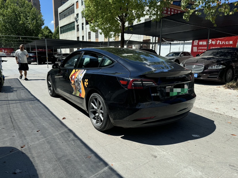 Tesla Model 3 2021 car image #4