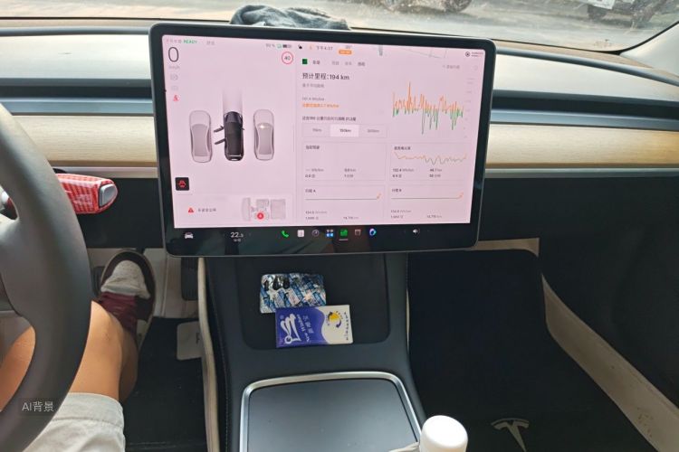 Tesla Model 3 2022 immagine di auto #15