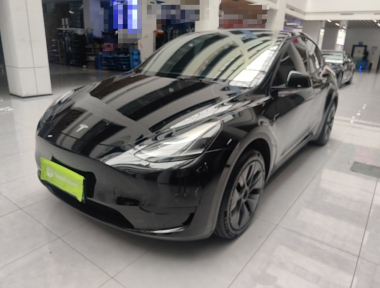 Tesla Model Y 2023 Tesla Model Y 2023 car image