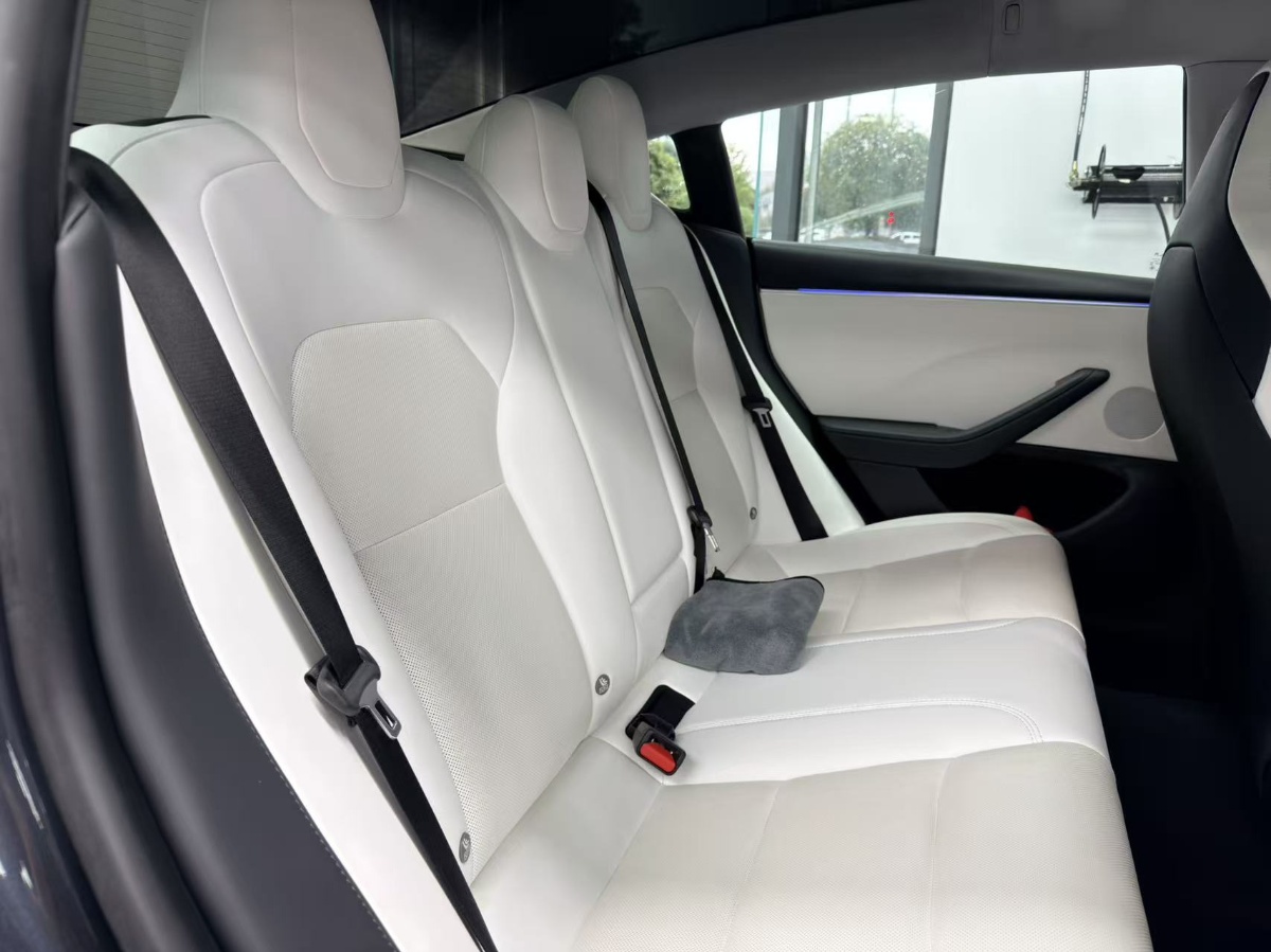 Tesla Model 3 2024 #3 Tesla Model 3 2024 immagine di auto #3