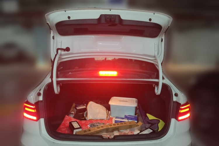 Volkswagen Lavida 2019 car image #17