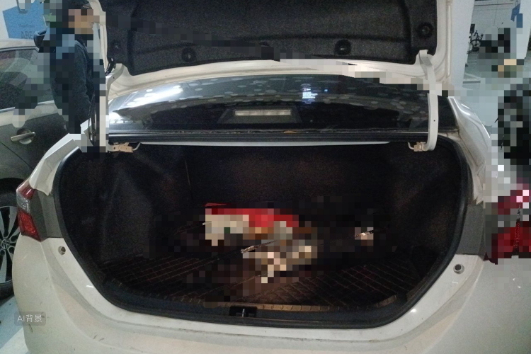 Toyota Corolla 2019 immagine di auto #21