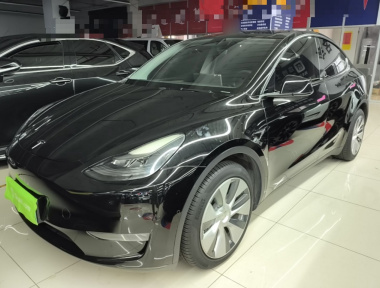 Tesla Model Y 2021 car image 