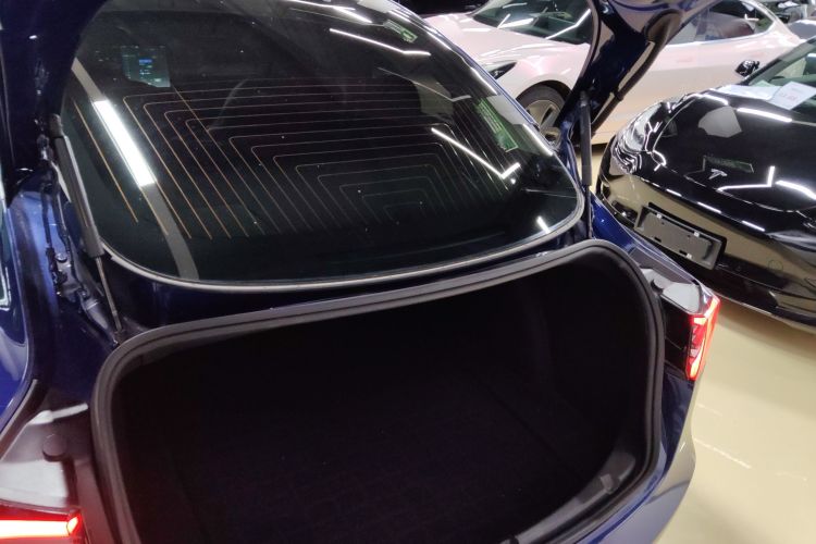 Tesla Model 3 2020 car image #19