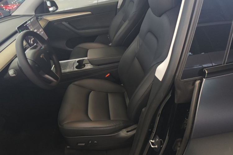 Tesla Model Y 2021 car image #19