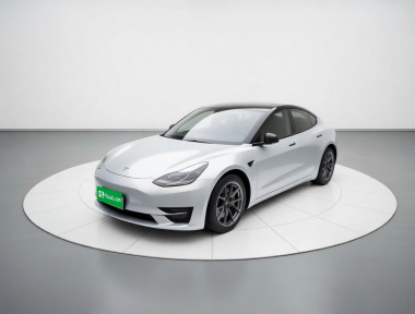 Tesla Model 3 2021 Tesla Model 3 2021 car image
