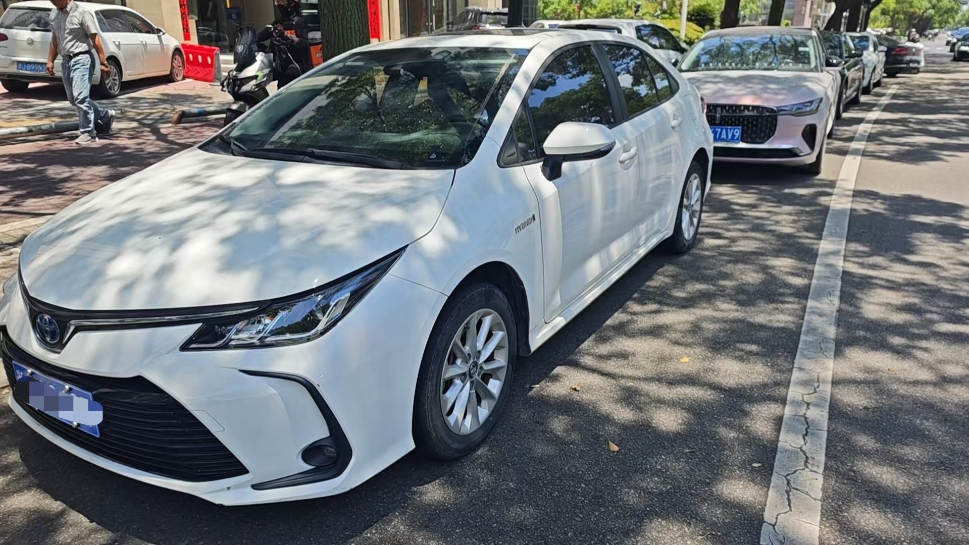 Toyota Corolla 2023 car image 