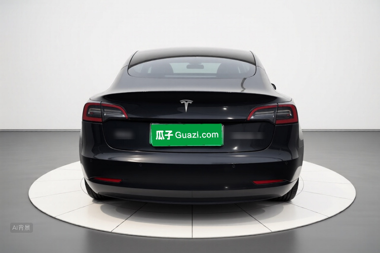 Tesla Model 3 2022 #6 Tesla Model 3 2022 car image #6