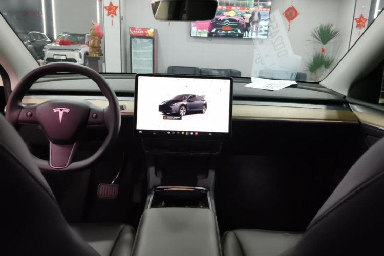 Tesla Model Y 2023 #10 Tesla Model Y 2023 car image #10
