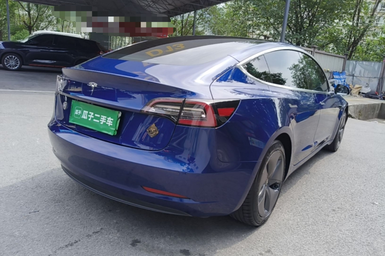 Tesla Model 3 2020 car image #5