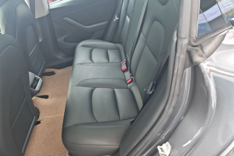 Tesla Model 3 2021 #17 Tesla Model 3 2021 car image #17