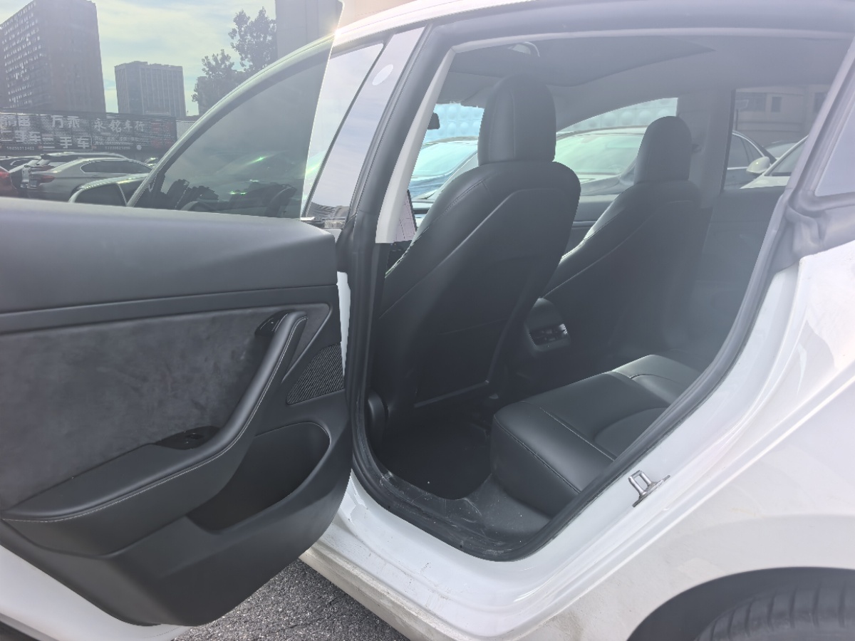Tesla Model 3 2020 #8 Tesla Model 3 2020 car image #8