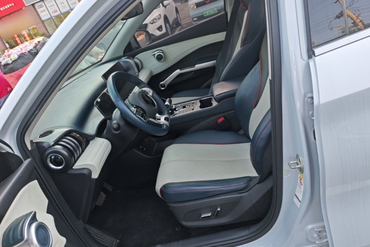 BYD Yuan Plus 2023 car image #15