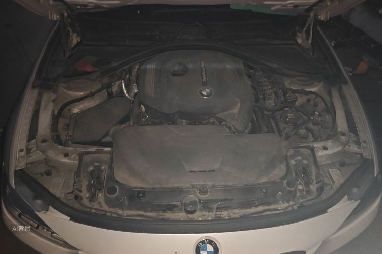 BMW 3 Series 2017 car image #22