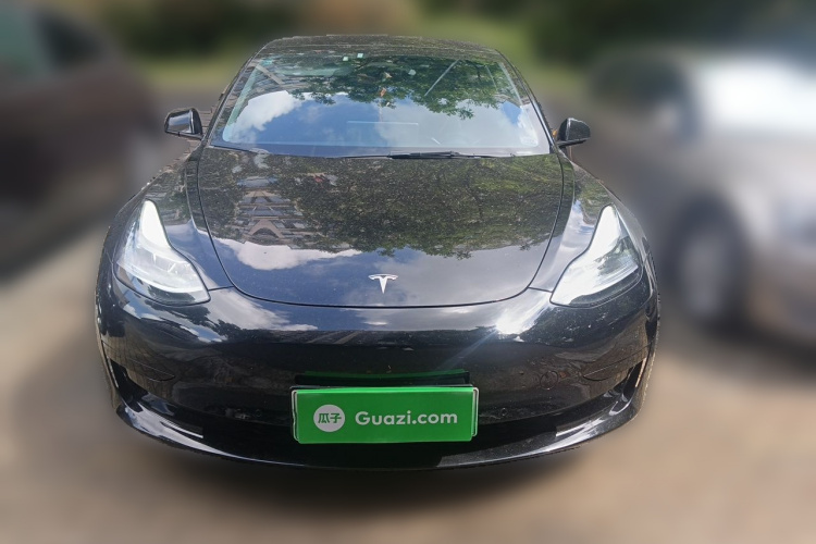 Tesla Model 3 2022 #3 Tesla Model 3 2022 car image #3