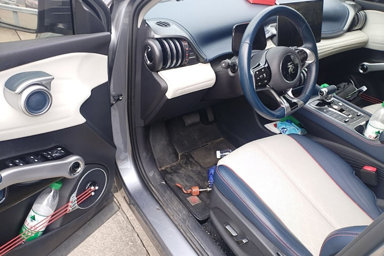 BYD Yuan Plus 2022 car image #12