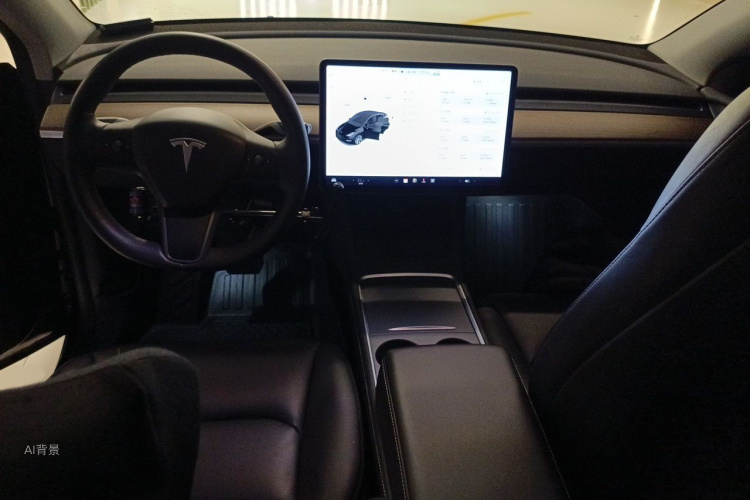 Tesla Model Y 2021 car image #11