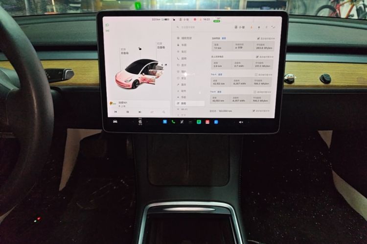 Tesla Model 3 2021 car image #13