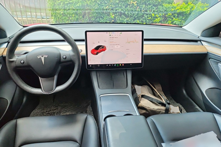 Tesla Model 3 2021 #7 Tesla Model 3 2021 immagine di auto #7