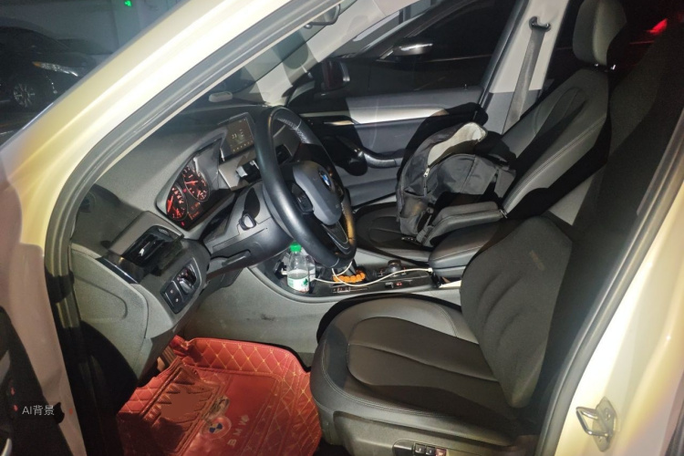 BMW X1 2016 car image #17
