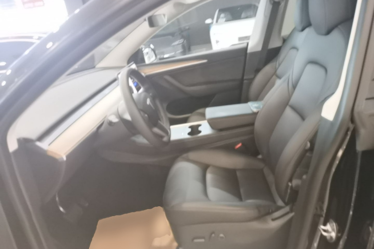 Tesla Model Y 2021 car image #15