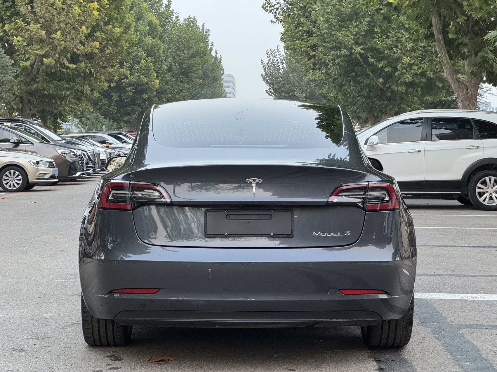 Tesla Model 3 2020 #4 Tesla Model 3 2020 car image #4